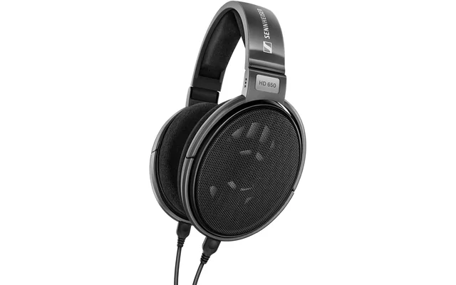 Sennheiser Consumer Audio HD 650 - Audiophile Hi-Res Open Back Dynamic Headphone, Titan
